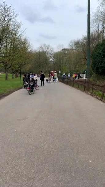带着孩子和其他人在曼彻斯特希顿公园的小径上走着 手持垂直相机Pov接近犹太家庭 — 图库视频影像
