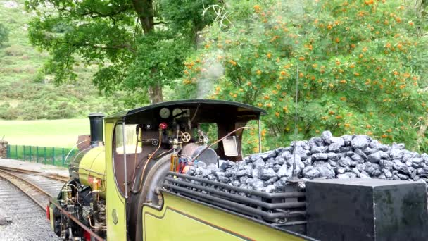 Piękny Letni Dzień Maszynista Pociągu Parowego Przygotowuje Wąskotorową Lokomotywę Parową — Wideo stockowe