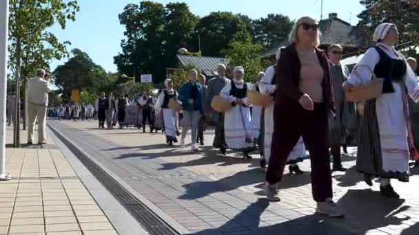팔랑가 리투아니아 사람들은 지역의 리투아니아 그룹의 퍼레이드를보고 인기있는 리조트에서 보행자 — 비디오