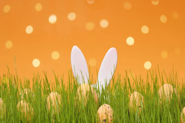 绿色草甸和橙色背景上的一堆鸡蛋 网页横幅 派对传单或带有复制空间的贺卡模板 复活节彩蛋狩猎 兔子的耳朵从草地上伸出来 — 图库照片