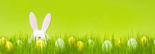 Easter Egg Hunt Bunny Rabbit Bunch Eggs Meadow Green Background — Stock Photo, Image