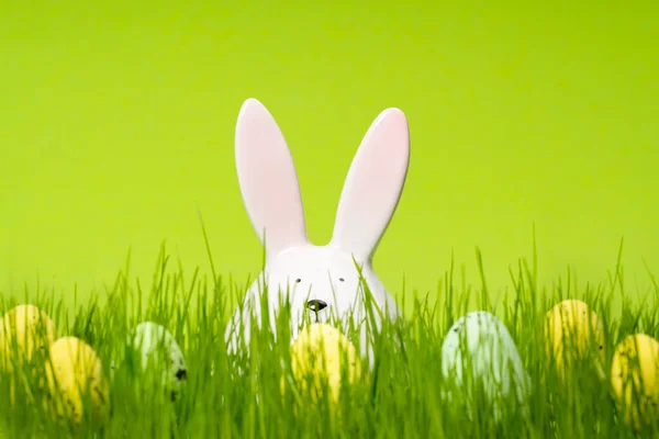 Caza Huevos Pascua Conejo Conejo Racimo Huevos Prado Fondo Verde Fotos de stock