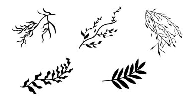 Shilouette 'nin Yaprakları skecine sahip şube seti