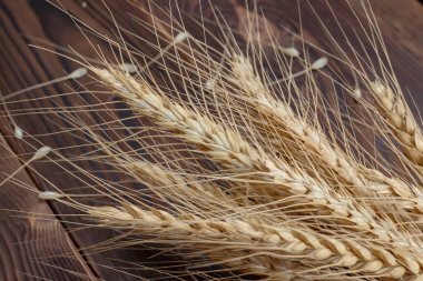 Tahta Masadaki Buğday Kulakları. Ahşap zemin üzerinde buğday yaprağı. Hasat konsepti.