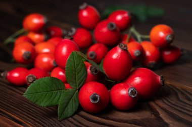 Tahta bir arka planda olgun kırmızı dogrose..