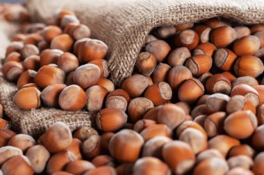 Fındık, fileto eski ahşap masada. Fındık yığını ya da fındık yığını. Fındık arkaplan, sağlıklı yiyecek..