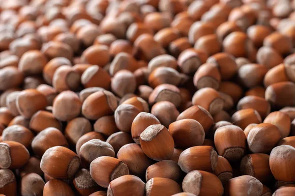 乾燥茶色のヘーゼルナッツの背景パターン テクスチャ — ストック写真