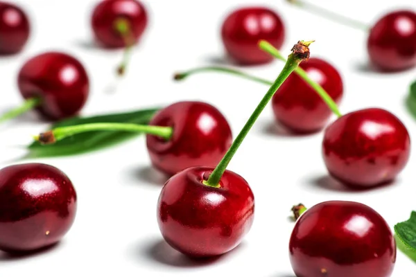 Cherry isolated. Sour cherry. Cherries with leaves on white background. Sour cherries on white.