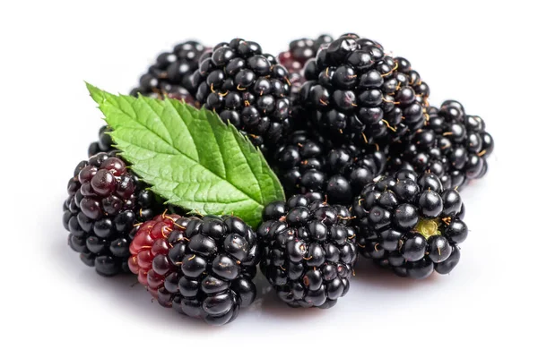 Blackberries Leaves Isolated White Background — Stock Photo, Image