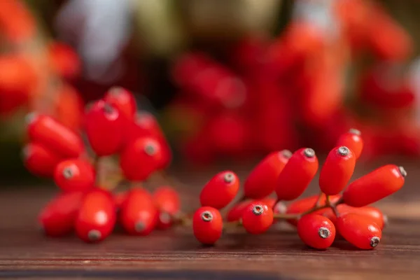 stock image Barberry, Berberis vulgaris, branch with natural fresh ripe red berries on wooden background. Red ripe berries and colorful red and yellow leaves on berberis branch with green background