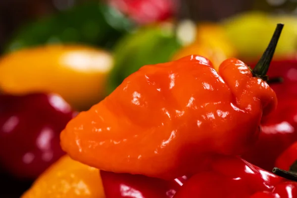 Colorful Green Red Yellow Peppers Paprika Background — Stock Photo, Image