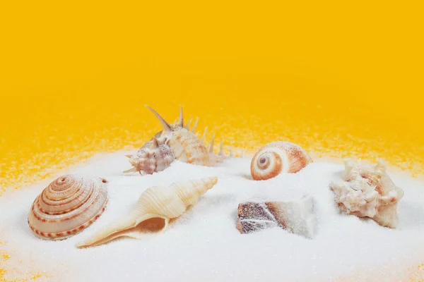 黄色の背景に砂の山の中の貝殻 — ストック写真