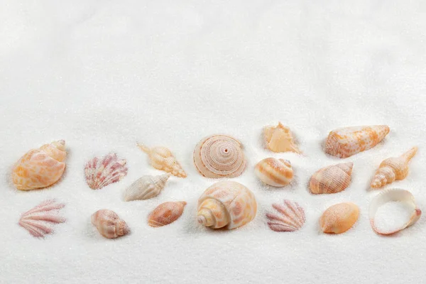 Top View Sandy Background Seashells — Stock Photo, Image