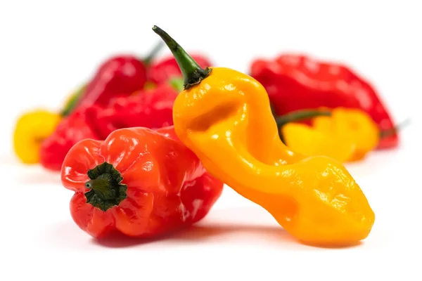 Colored Hot Peppers White Background Royalty Free Stock Photos