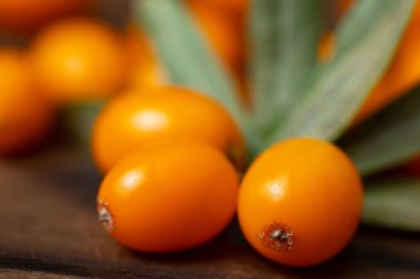 Tahta masa üzerinde yaprakları olan deniz karabatağı üzümleri, yakın plan..