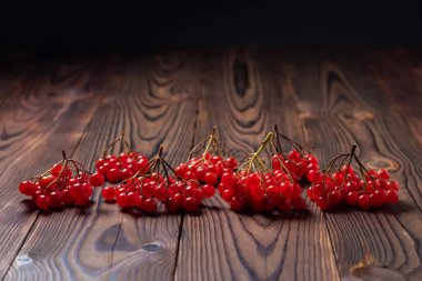 Kırmızı viburnum dalları. Guelder gülü. Tahta arka planda viburum dalının güzel kırmızı meyveleri.