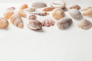Kumdaki deniz kabukları. Metin için alanı olan deniz yaz tatili arkaplanı.