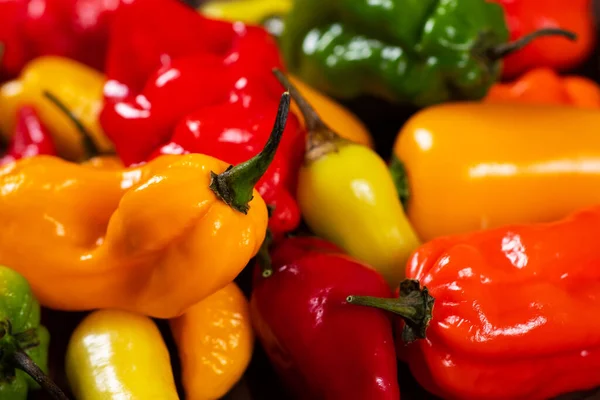 Colorful green, red and yellow peppers paprika background.