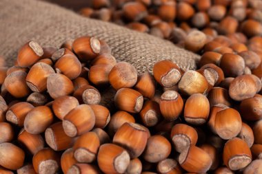 Fındık, fındık çuvala ahşap zemin üzerinde. yığın veya fındık yığınını. Fındık arka plan, sağlıklı gıda.