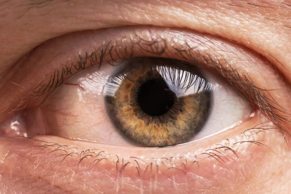 Macro image of human eye with red capillaries,