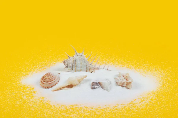 黄色の背景に砂の山の中の貝殻 — ストック写真