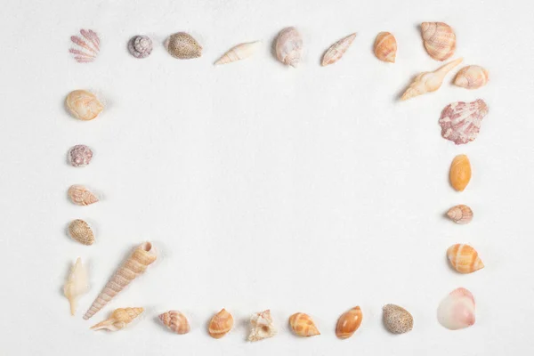 Frame Sea Shells Sandy Beach — Stock Photo, Image