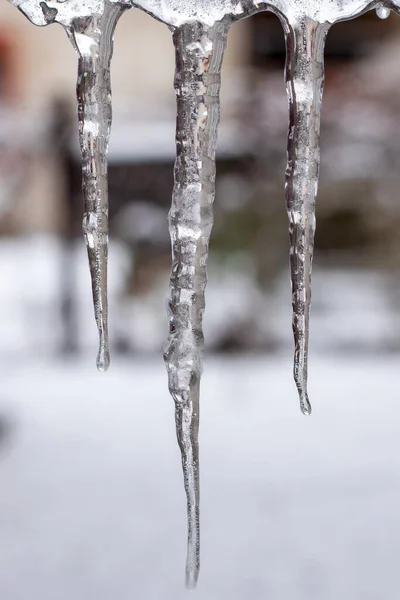 stock image beautiful shiny transparent icicles hang on a clear day,