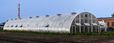 Yazın sebzeli ve meyveli seralar.