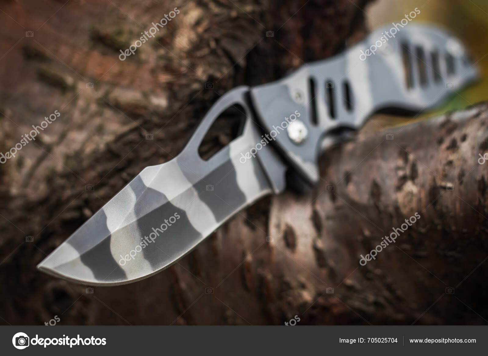 Military Tactical Knife Tree Forest — Stock Photo © eliosdnepr@gmail ...