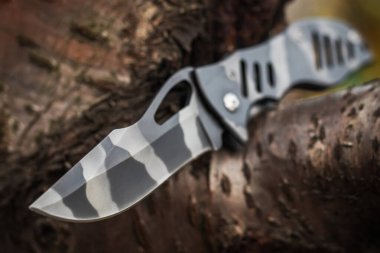 Ormandaki ağaçta askeri taktik bıçağı.