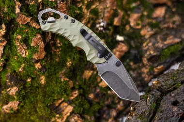 Taktik bıçak ormanda bir kütüğe saplanmış..