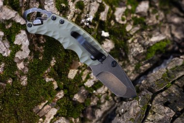 Taktik bıçak ormanda bir kütüğe saplanmış..