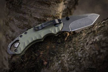 Askeri taktik bıçağı ormanda sıkışmış bir ağaç gövdesi..