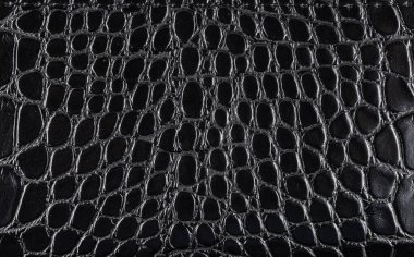 Siyah timsah Deri arka plan ve doku.