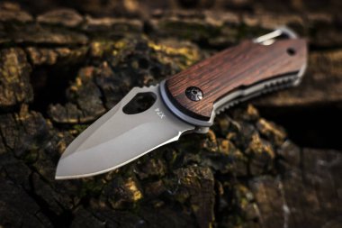 Ormandaki ağaçta askeri taktik bıçağı.