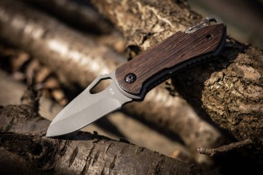 Askeri taktik bıçağı ormanda sıkışmış bir ağaç gövdesi..