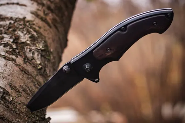 Tactical knife for survival and protection difficult conditions stuck into trunk tree in forest.