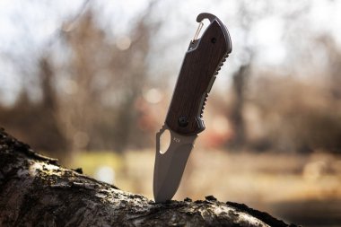 Hayatta kalmak ve korunmak için taktik bıçak ormandaki ağaç gövdesine sıkışmış zor koşullar.