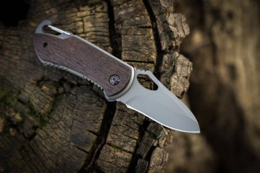 Ormandaki ağaçta askeri taktik bıçağı.