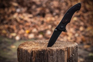 Hayatta kalmak ve korunmak için taktik bıçak ormandaki ağaç gövdesine sıkışmış zor koşullar.