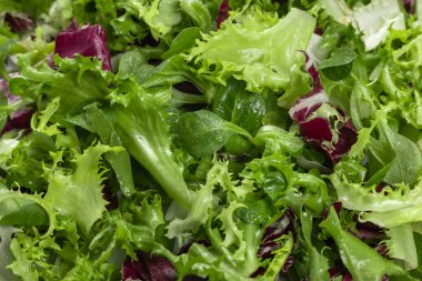 Karışık salata yaprakları ve su damlaları. Sağlıklı yemek geçmişi. Üst görünüm.