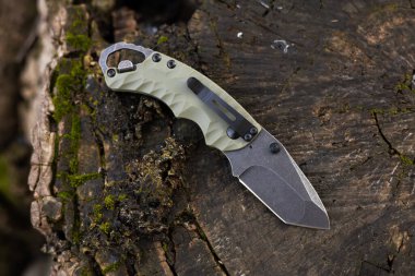 Ormandaki ağaçta askeri taktik bıçağı.