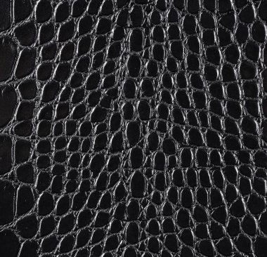 Doğal timsah derisinin arka planı. Timsah derisinin dokusu. Siyah renk.