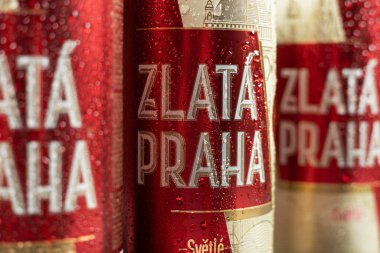 Dnipro, Ukrayna - 21 Şubat 2024: Su damlaları olan teneke bir alüminyum kutuda Zlata praha Çek birası.