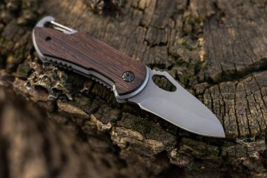 Ormandaki ağaçta askeri taktik bıçağı.