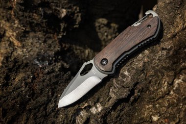 Ormandaki ağaçta askeri taktik bıçağı.