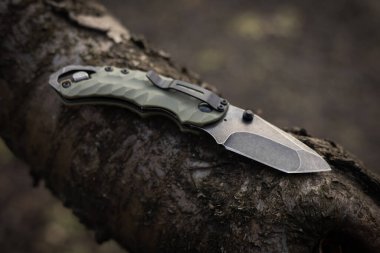 Ormandaki ağaçta askeri taktik bıçağı.