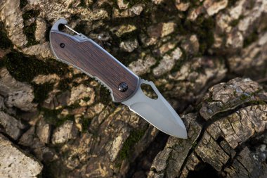 Ormandaki ağaçta askeri taktik bıçağı.