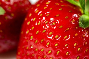 Taze olgun çileklere yaklaş. makro.