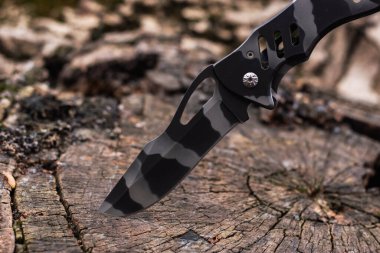 Taktik bıçak ormanda bir kütüğe saplanmış..